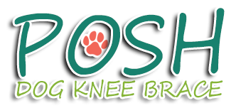 Posh Dog Knee Brace