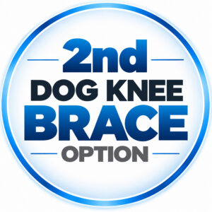 2nd-knee-option