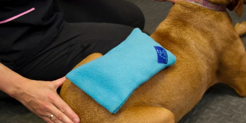 Cold Pack And Hot Pack For Arthritic Dogs
