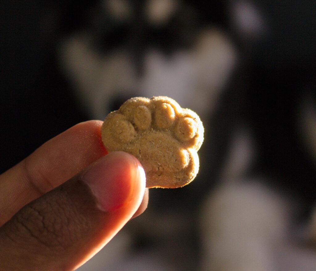 What dog treats are best for my dog