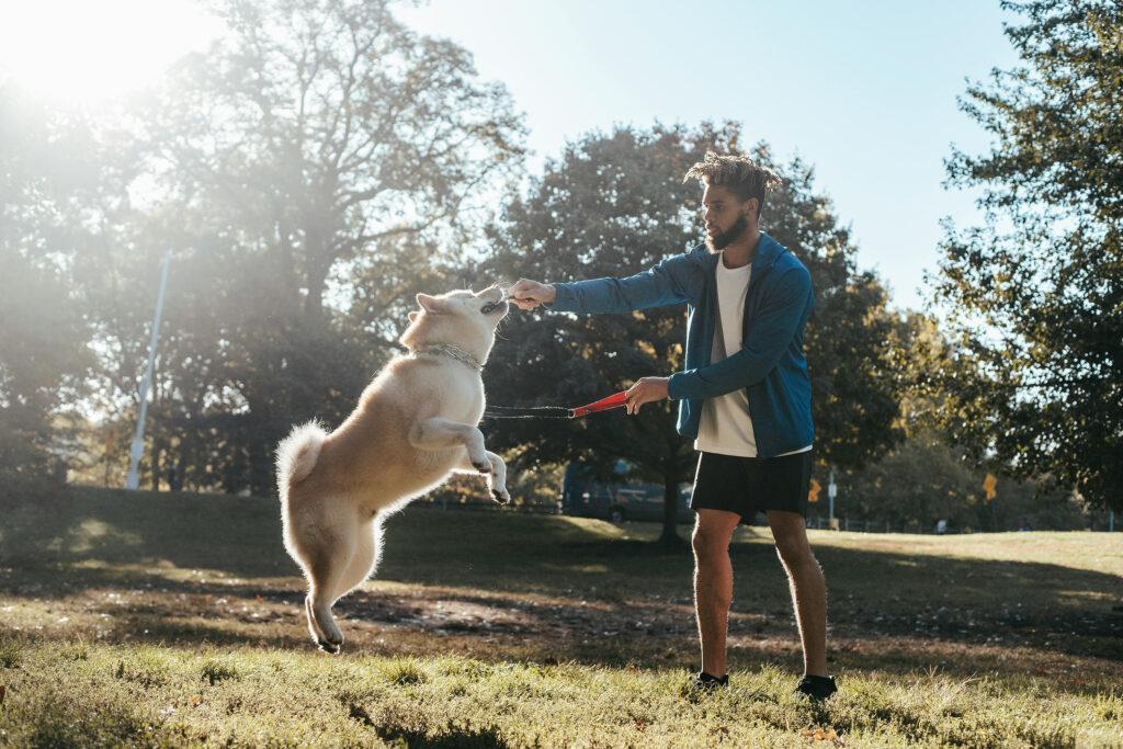 How Much Exercise Do Dogs Need