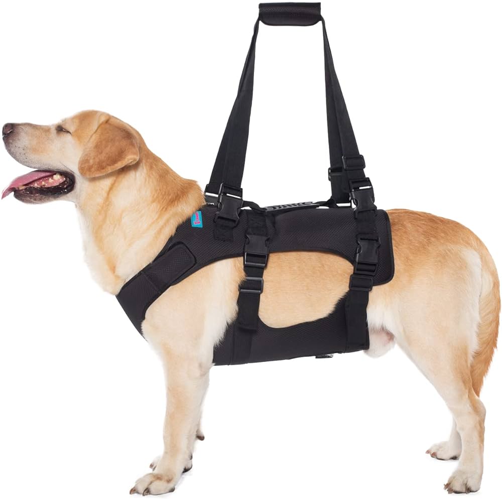 Harnesses for Dogs