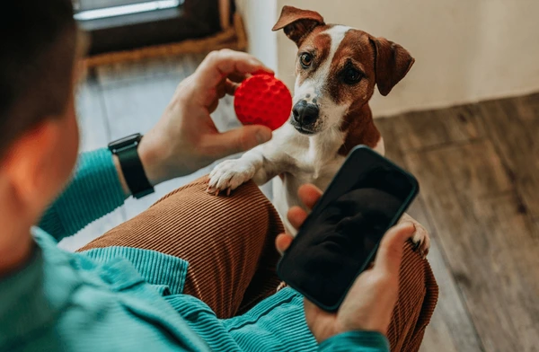 5 Technologies to Make Your Home Pet-Friendly in a Smart Environment