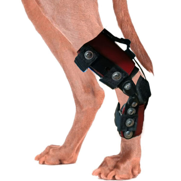Hock-ankle-brace