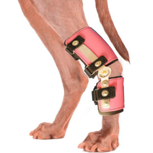 Hock-ankle-brace