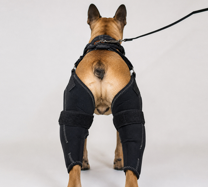 apollo-back-brace-8