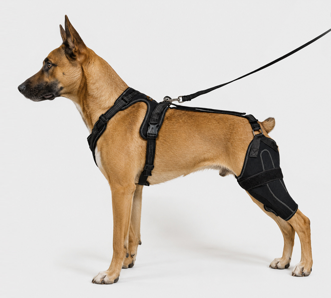 apollo-back-brace-9