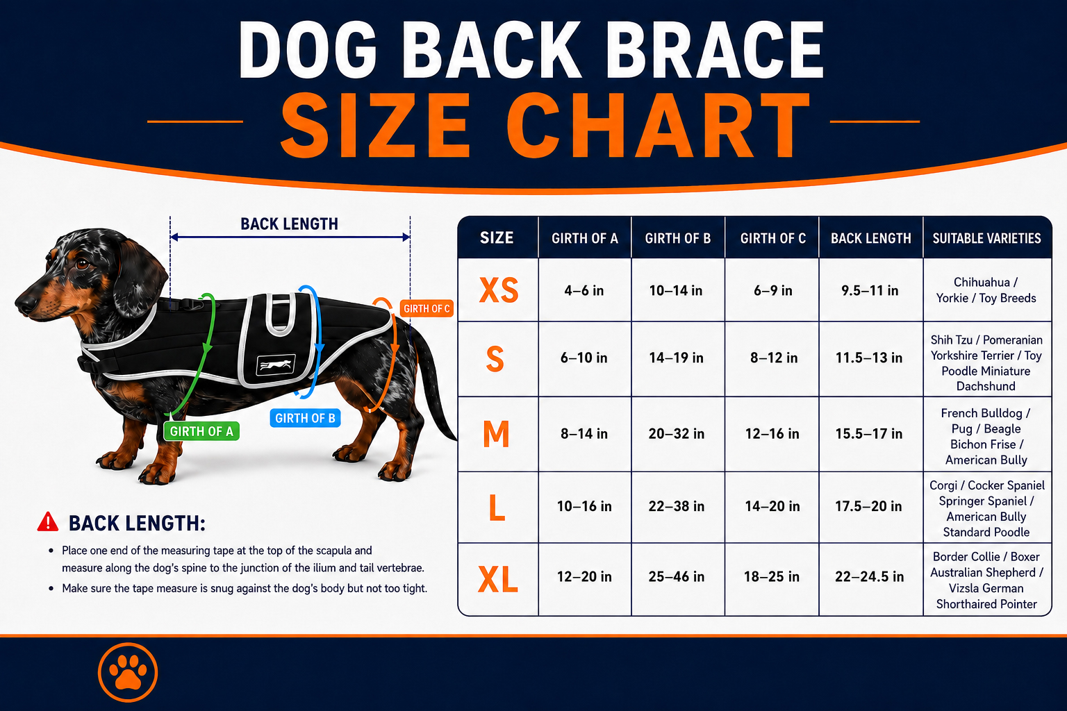 apollo-dog-back-brace-size-chart