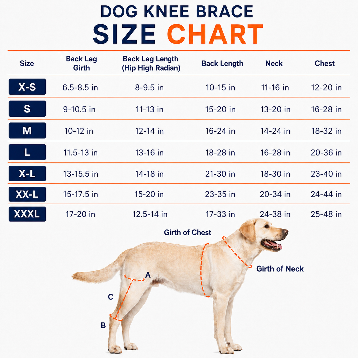 apollo=soft-knee-brace-size-chart