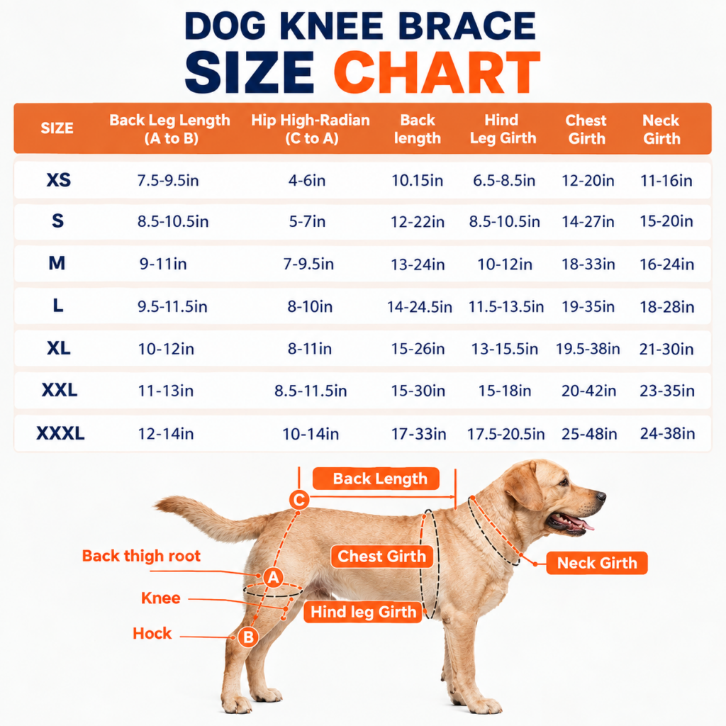 dog knee brace size chart-final-update